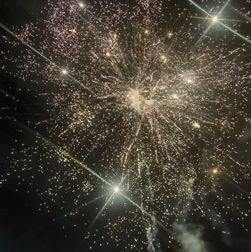 Joyful Lantern Festival Joyful Lantern Festival