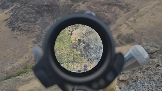 The Optical Reticle